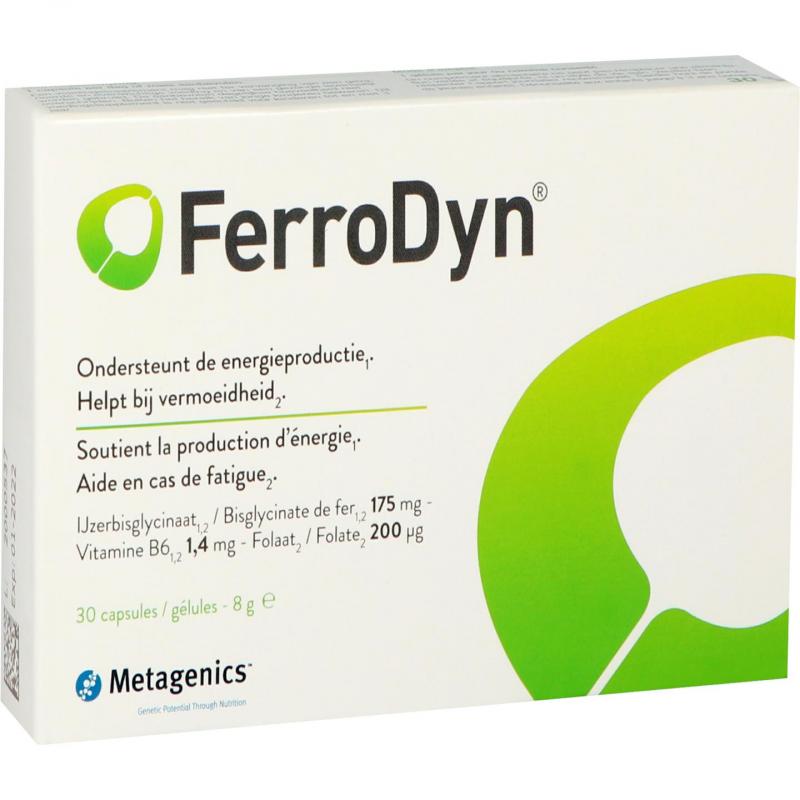 FerroDyn