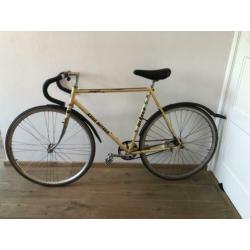 Singlespeed terugtrap rem fiets met koga mikaya frame