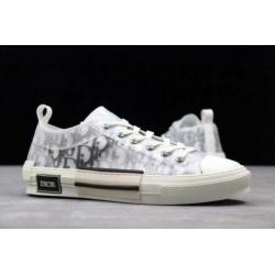 Dior b23 low sneaker allstar