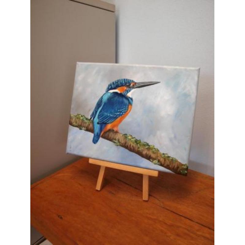 Schilderij ijsvogel 11 - eigen atelier - olieverf - vogels