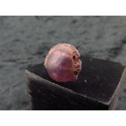 Egyptian Amethyst Cowrie shell amulet