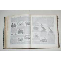 Franstalige encyclopedie in 2 delen natuur illustratie 1876