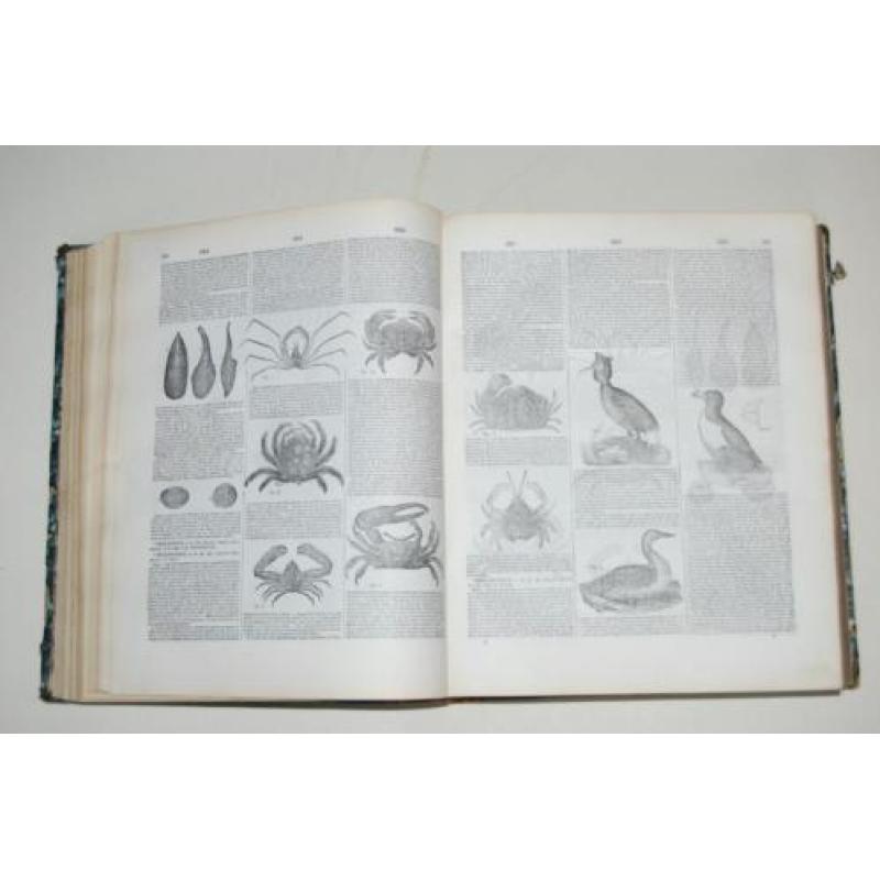 Franstalige encyclopedie in 2 delen natuur illustratie 1876