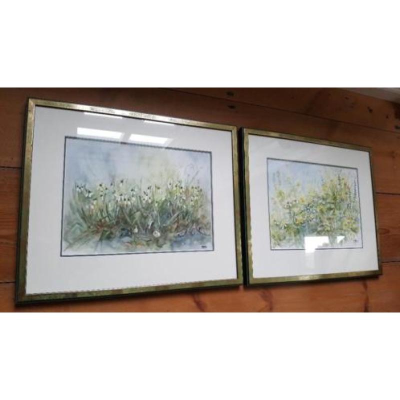 2x aquarel HBooij in prachtige lijst met glas.