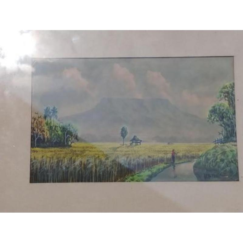 Oude aquarel rijstveld Indonesië gesigneerd