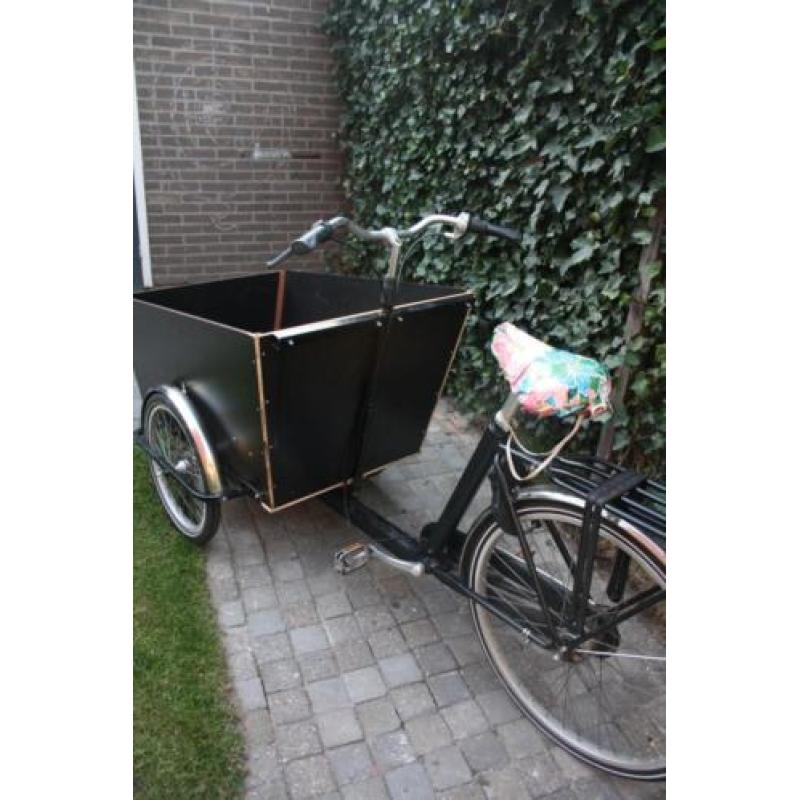 Bakfiets Cargo trike