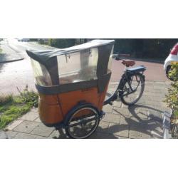 Babboe bakfiets Curve-E