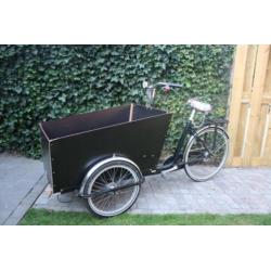 Bakfiets Cargo trike