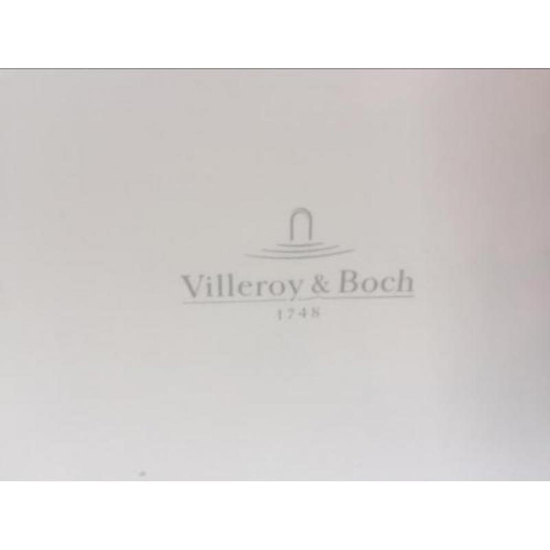 Villeroy en Boch waskom